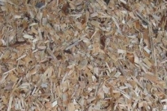 biomasa2